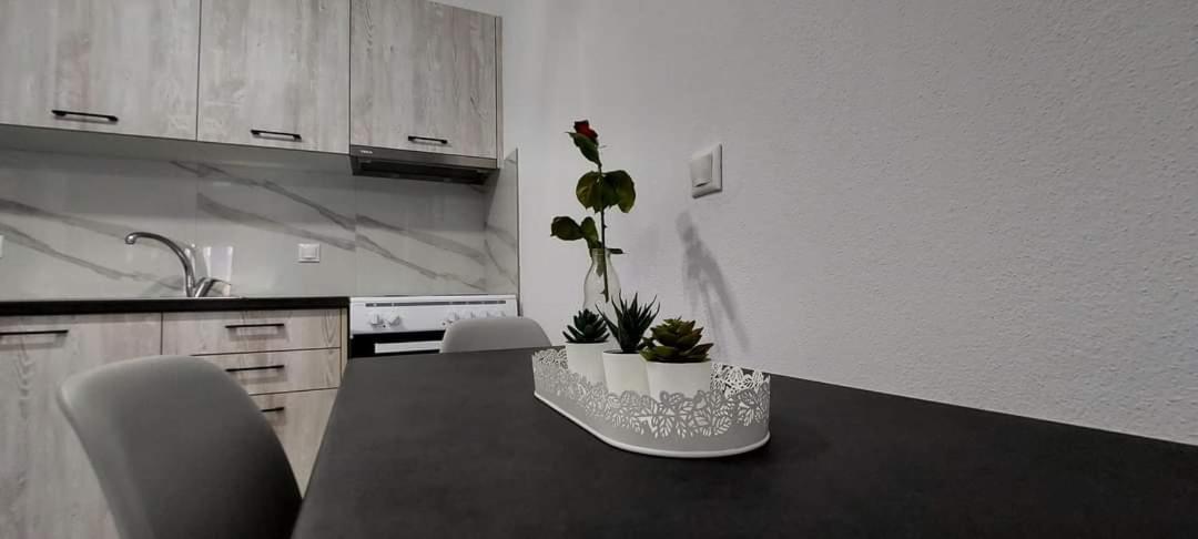 Milias Apartment'S Ierissos Ruang foto